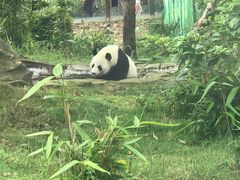 -武汉动物园