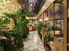 -四季合味椰子鸡(南山大冲店)
