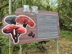 -七仙岭温泉国家森林公园