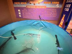 -长湘居(数码大厦店)