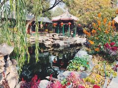 -白家大院·王府宫廷菜(苏州街店)
