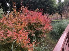 -沐仙湖湿地公园
