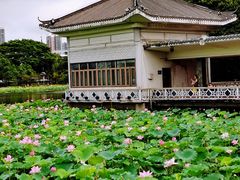-荔湾湖公园