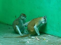 -北京野生动物园