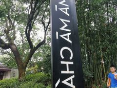 -MAMACHA妈妈茶(岳麓山店)