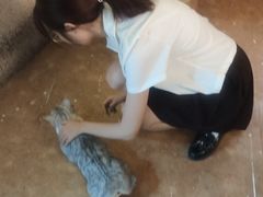 -逃脱反斗城沉浸剧情密室(北京路店)