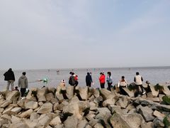 -南汇嘴观海公园