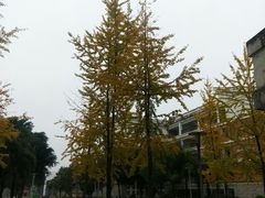 -福建师范大学(仓山校区)