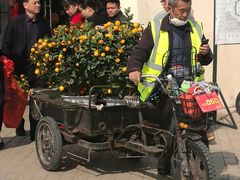 -珠海市体育中心-游泳馆