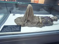-巴音郭楞蒙古自治州博物馆