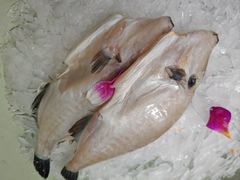 -巴倒烫陆派火锅山庄(南山总店)