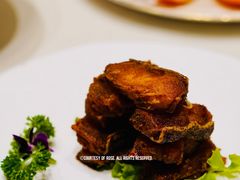 -蝶园·装修中(BFC外滩金融中心店)