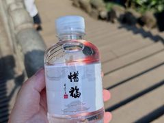 -灵隐飞来峰景区
