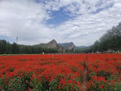 -百里山水画廊乌龙峡谷