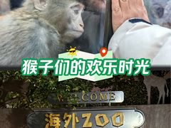 -北京市海淀外国语实验学校