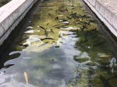 -北京水岸山吧度假村(雁栖镇店)