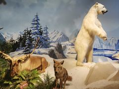 -陕西自然博物馆