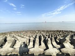 -上海滨江森林公园