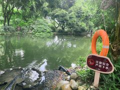 -成都市活水公园