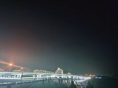 -演武大桥观景平台