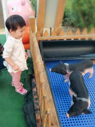 -萌宠亲子动物乐园(槐房万达店)