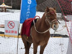 -长春莲花山滑雪场