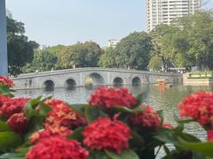 -荔湾湖公园