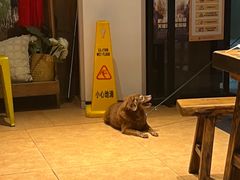 -木屋烧烤(南新店)