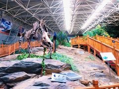 -中国第四纪冰川遗迹陈列馆