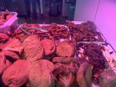 -章云板鸭(评事街店)