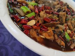 -龙翔山庄雷鸡肉(青城后山泰安古镇店)