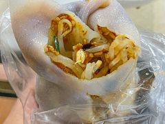 -邓氏大薄片