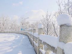 -黄椅山火山森林公园