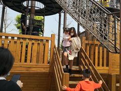 -枫香湖儿童公园