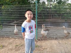 -武汉紫薇都市田园