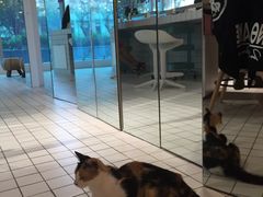 -ID.PHOTO照相馆(嘉里企业中心店)