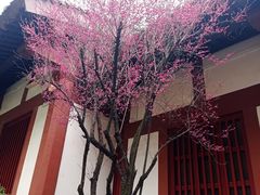-拜将坛