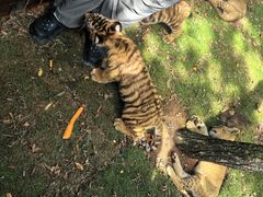 -西霞口神雕山野生动物世界