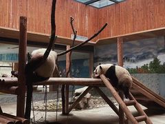-西安秦岭野生动物园