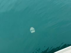 -小猫钓鱼海钓俱乐部(椰梦长廊店)