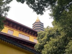 -红梅公园