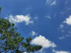 -青岛海尔洲际酒店