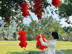 -广西壮族自治区药用植物园