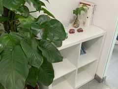 -全欧语言留学考试(德法西意俄南京总部校区)