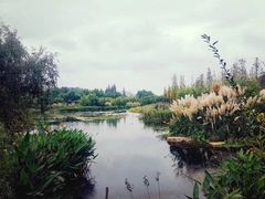 -贵阳市花溪国家城市湿地公园