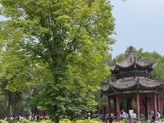 -洛阳白马寺