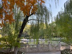 -文瀛公园