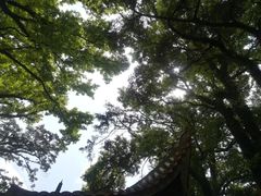 -三宝大饭店-中和艺素餐厅(浦上金山正祥广场店)