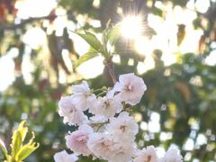 -观澜湖生态运动公社