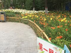 -文瀛公园